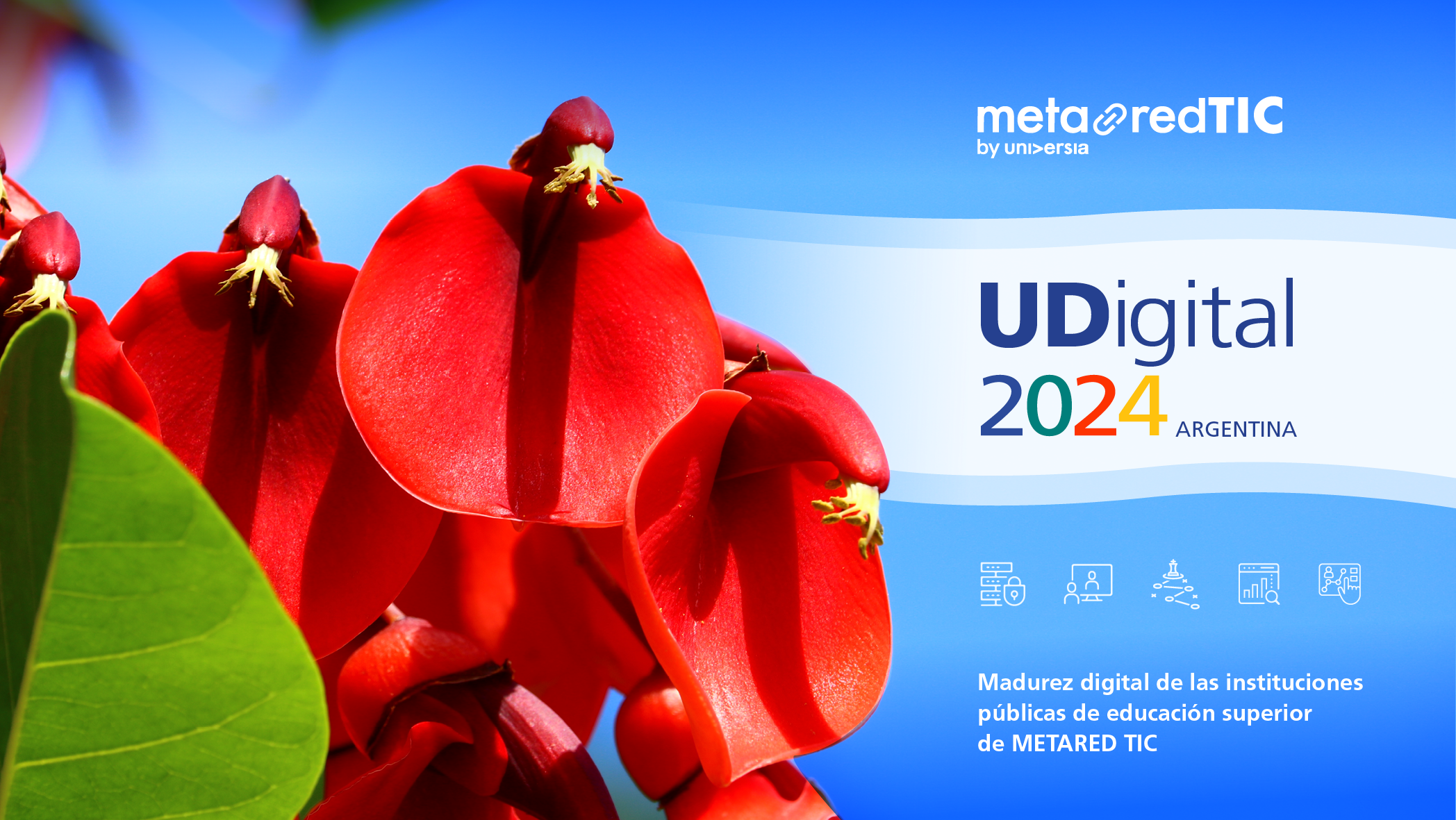 UDigital ARGENTINA 2024